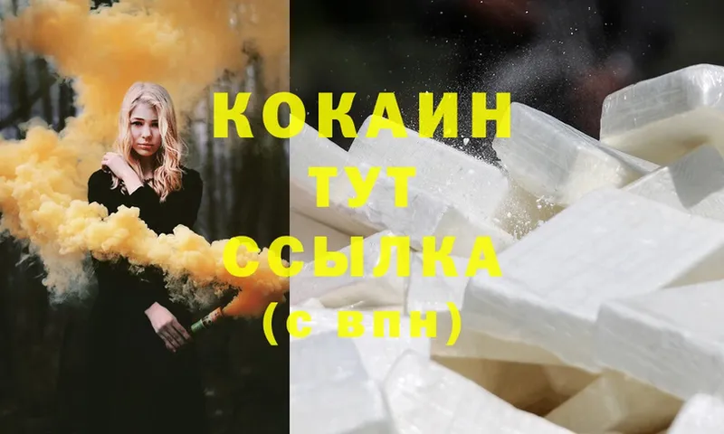 хочу наркоту  Дальнегорск  Cocaine FishScale 