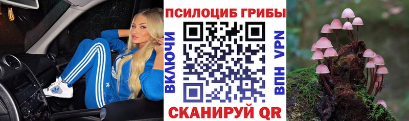 Псилоцибиновые грибы MAGIC MUSHROOMS Дальнегорск