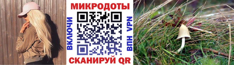 Псилоцибиновые грибы MAGIC MUSHROOMS цены наркотик Дальнегорск