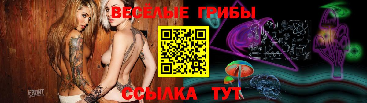 Галлюциногенные грибы GOLDEN TEACHER  Галлюциногенные грибы Magic Shrooms  Вход с VPN  Дальнегорск 